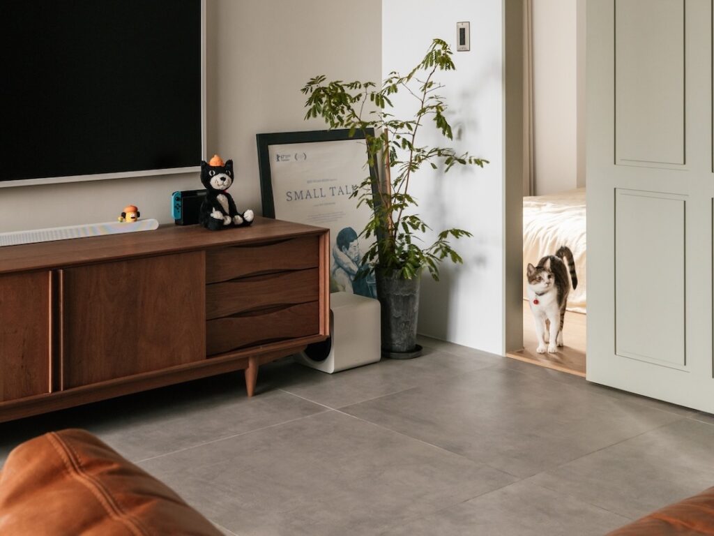 日雜風居家客廳一角，貓咪從主臥走出來